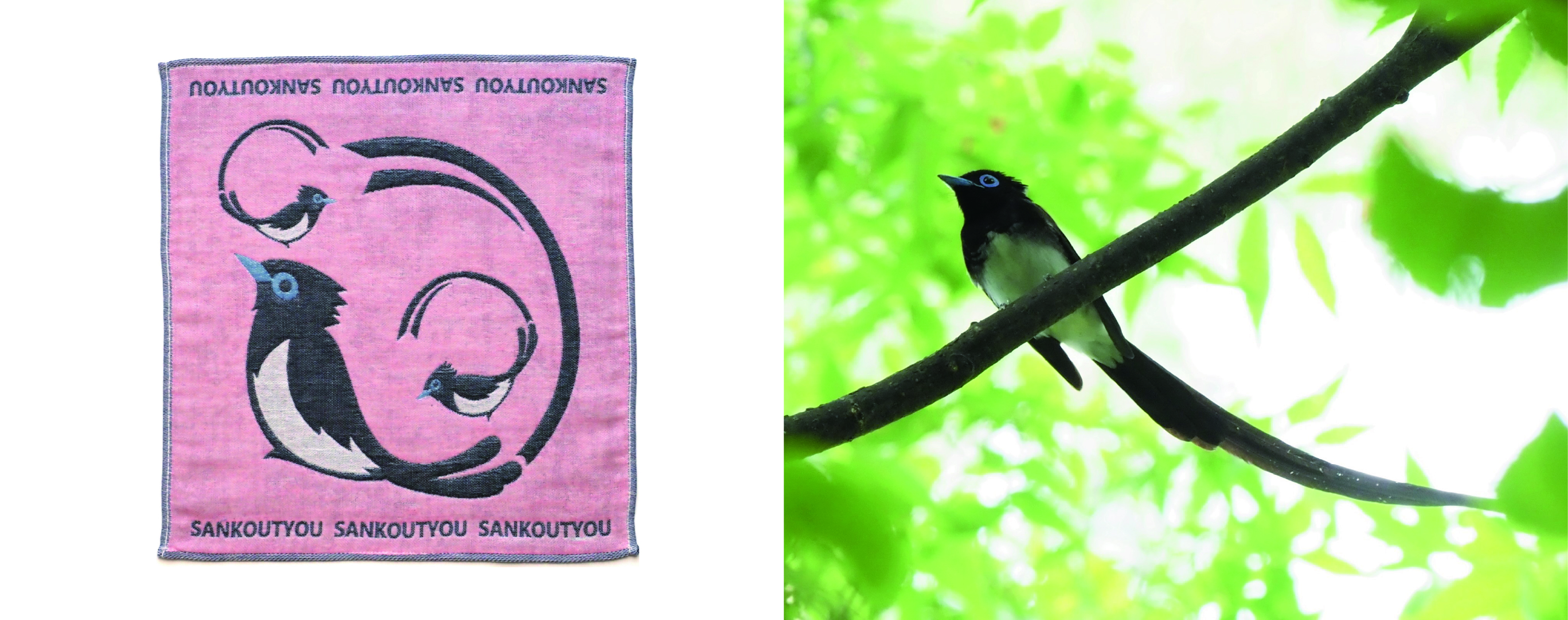 アートで元気 オリジナルブランド＜ToriTori＞ | アートで元気になる